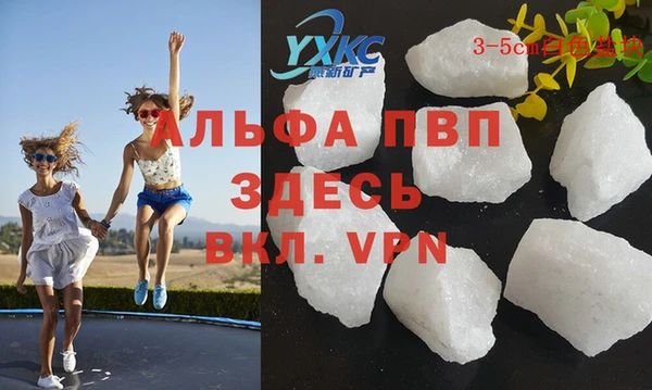 ГАЛЛЮЦИНОГЕННЫЕ ГРИБЫ Магас