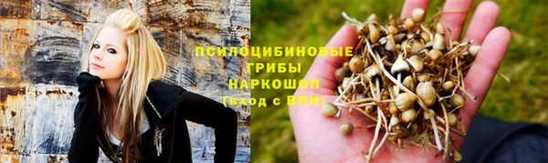 mix Алексин